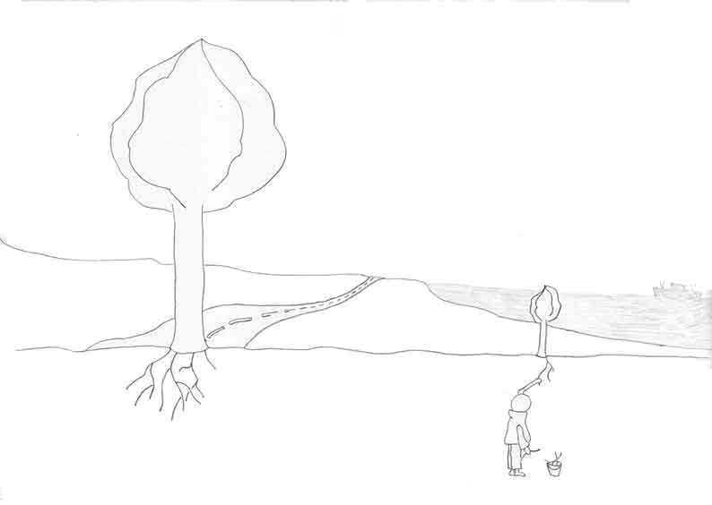 Wurzeln (hinterfragt)