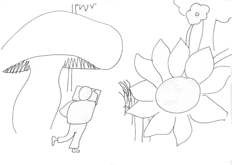 Zeichner im Pflanzenreich